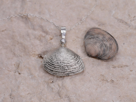 CLAM SHELL Pendant Necklace from Half Moon Bay